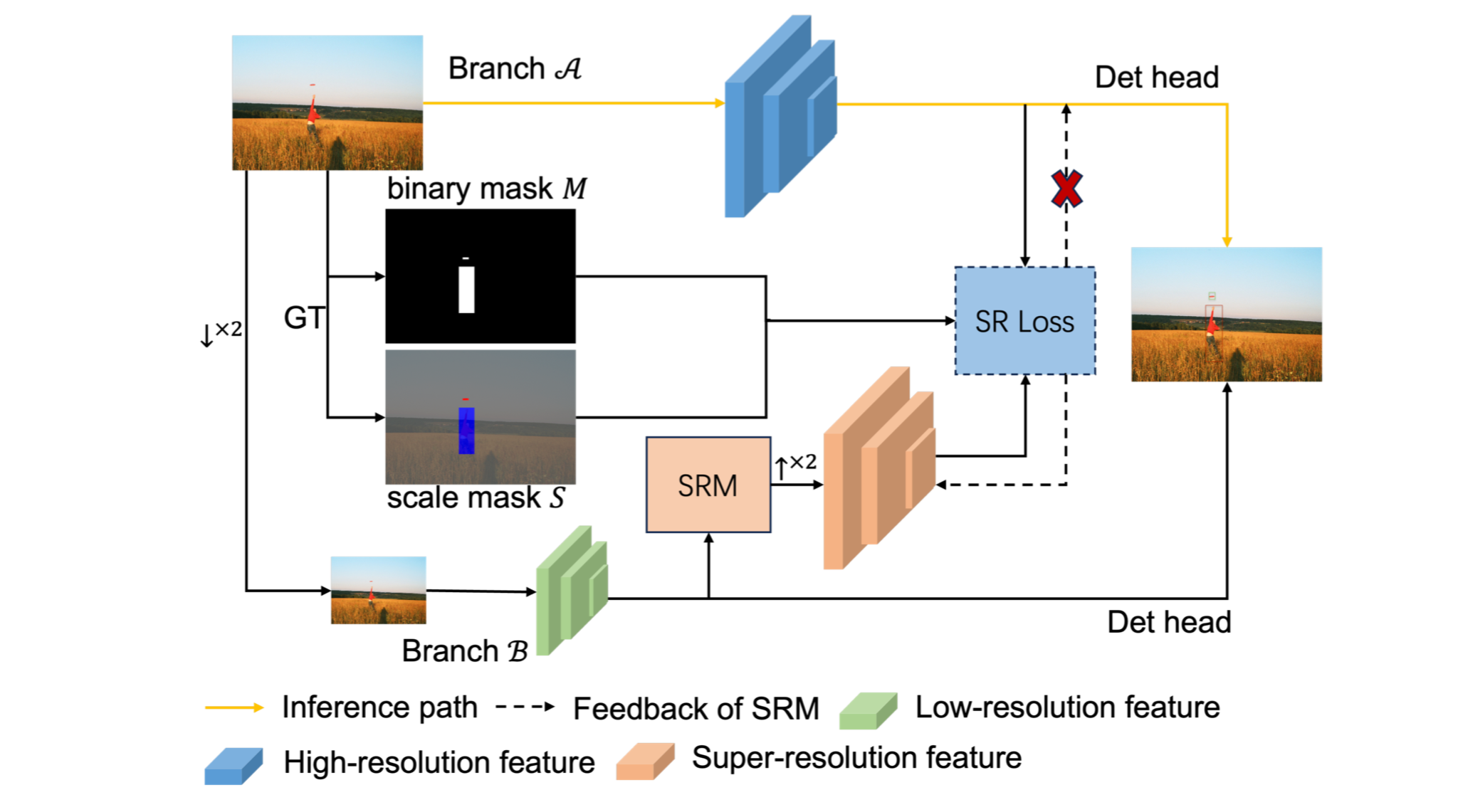 FIESR Fig1